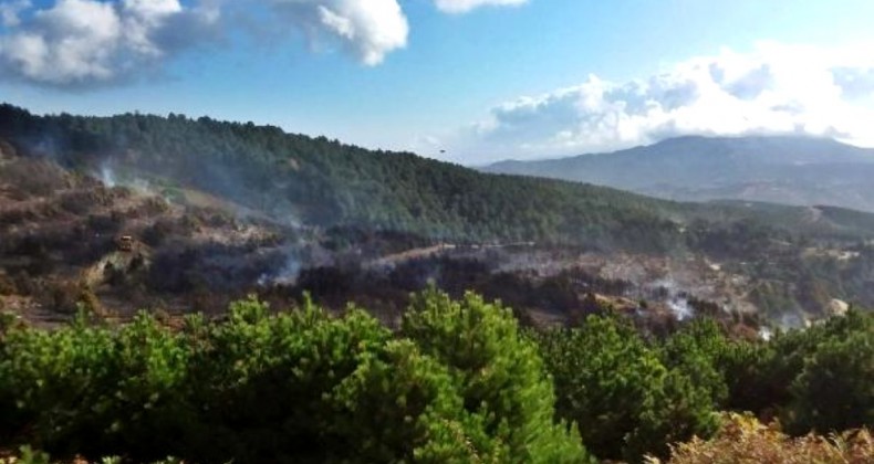 Bergama’dan İvrindi’ye sıçrayan yangında toplam 100 hektar orman küle döndü