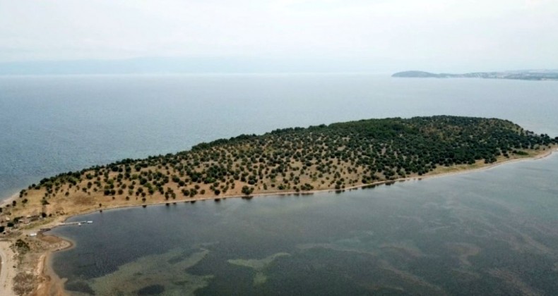 Hülya Avşar’ın ada satın alacağı yalanlandı
