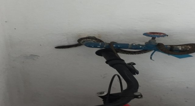 Balıkesir’de apartmana giren yılan itfaiye tarafından çıkarıldı